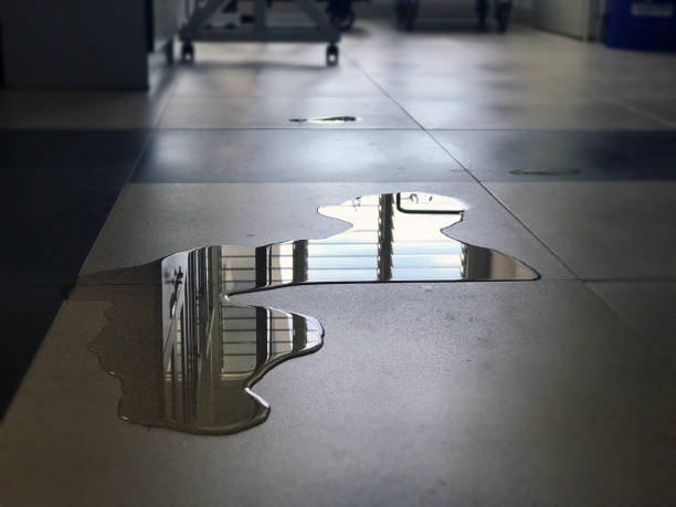 Best Emergency water damage restoration  in Bella Vista, CA
