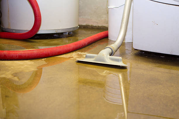 Best Ceiling water damage repair  in Bella Vista, CA
