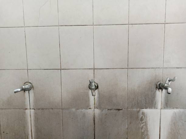Best Mold removal after water damage  in Bella Vista, CA