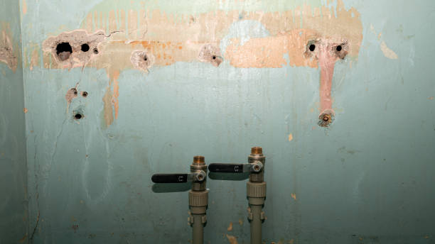  Bella Vista, CA Water damage restoration Pros
