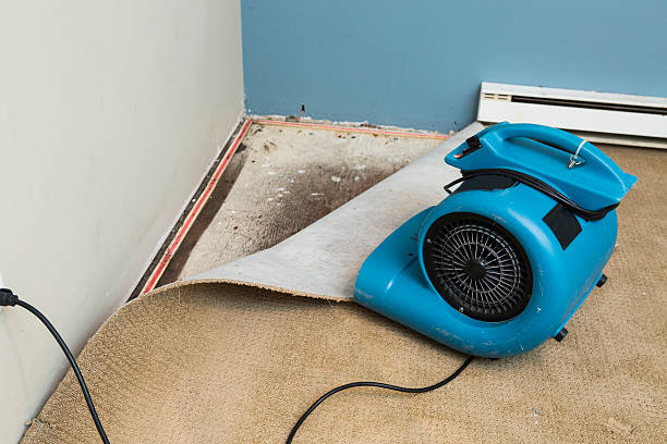 Best Residential water damage restoration  in Bella Vista, CA